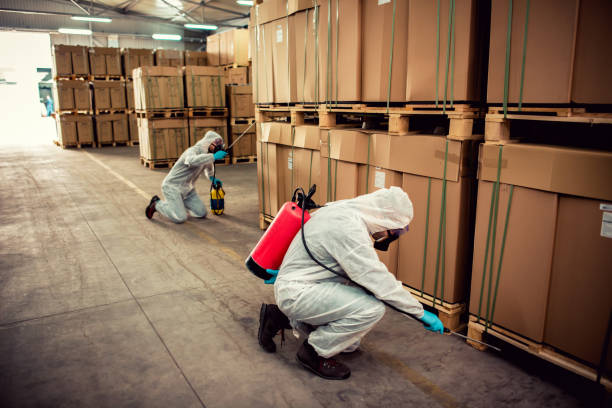 Best Local Pest Control Services  in La Presa, CA