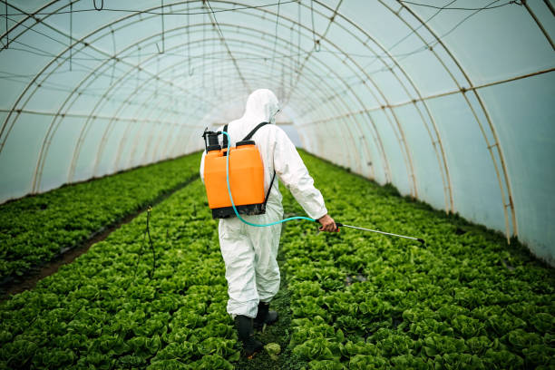 Best Residential Pest Control  in La Presa, CA