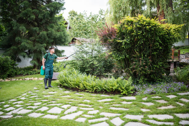 Best Wasp Removal Services  in La Presa, CA