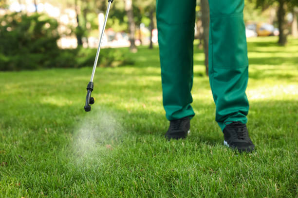 Best Mosquito Control Services  in La Presa, CA