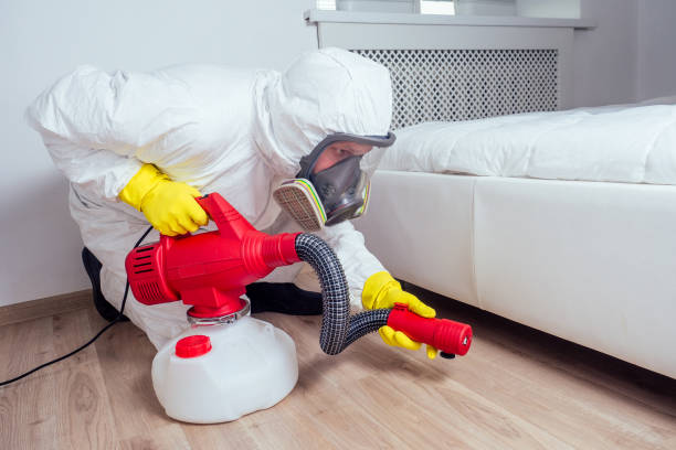 Best Emergency Pest Control  in La Presa, CA
