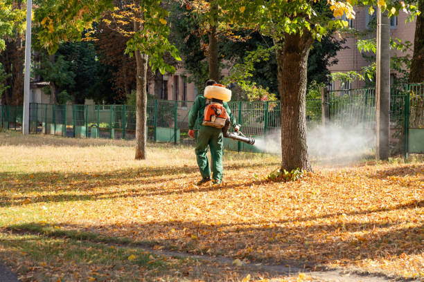 Best Pest Prevention Services  in La Presa, CA