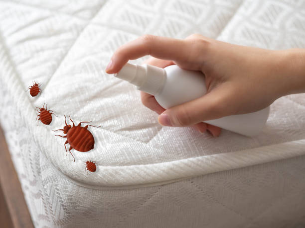 Best Commercial Pest Control Services  in La Presa, CA