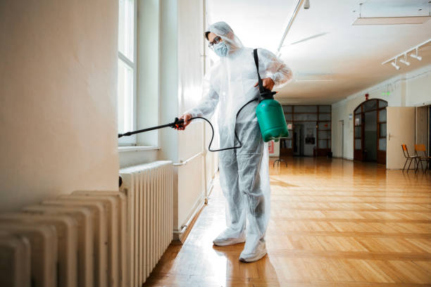 Best Cockroach Control Services  in La Presa, CA