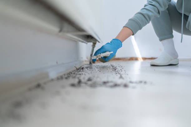 Best Pest Removal Services  in La Presa, CA