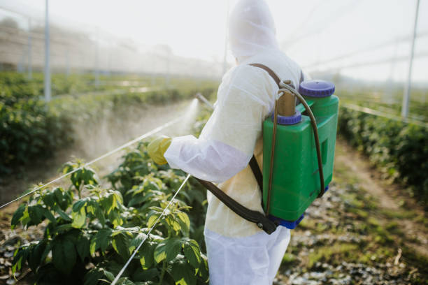 Best Affordable Pest Control Services  in La Presa, CA